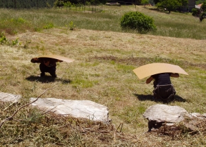 Projet (faire) Cabane - Anne Collod - 2006/ 2007